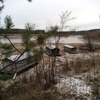 Рождественское. Осень 2024г.