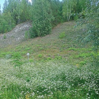 На территории историко-природного комплекса "Кунгурская ледяная пещера". Ледяная Гора.