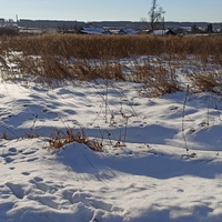 Деревня с утра