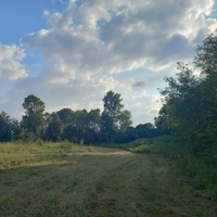 Дорога с пшеничного поля