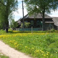 Д.Горильдово 06.2016