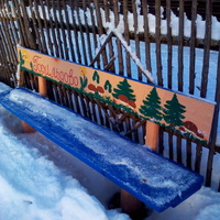 Д.Горильдово 01.2017