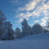 Д.Горильдово 01.2018