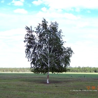 Тюбяй-Жархан