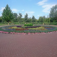 Цветник в сквере имени В.Н. Татищева.