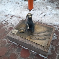 Памятник Бездомной собаке