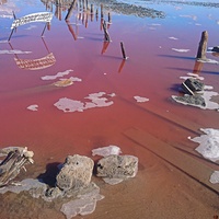 Озеро Сасык-Сиваш (Розовое озеро) - самое крупное озеро в Крыму. Цвет озерной воды - из-за бактерий, вырабатываемых водорослями. От их активности вода может менять свой цвет от красного до розового и сиреневого. Соль в озере тоже розовая.