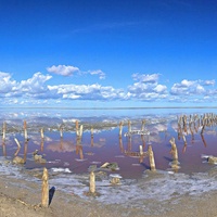 Панорама озера Сасык-Сиваш (Розовое озеро) - самое крупное озеро в Крыму. Цвет озерной воды - из-за бактерий, вырабатываемых водорослями. От их активности вода может менять свой цвет от красного до розового и сиреневого. Соль в озере тоже розовая.