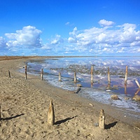 Часть акватории и прибрежной зоны озера Сасык-Сиваш с остатками старых свай.