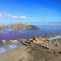 Сваи, уходящие в озеро Сасык-Сиваш, — это остатки соледобывающих конструкций. В те времена, когда соль ломали вручную, эти столбы были сваями, на которых лежали деревянные настилы, где сушилась добытая соль.
