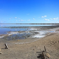 Юго-восточная часть акватории и прибрежной зоны озера Сасык-Сиваш.