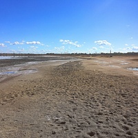 Южная часть акватории и прибрежной зоны озера Сасык-Сиваш.