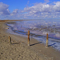 Южная и юго-западная часть акватории и прибрежной зоны озера Сасык-Сиваш с остатками старых свай.