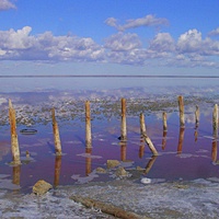 Акватория озера Сасык-Сиваш с остатками старых свай. Вид с юга на северо-запад.