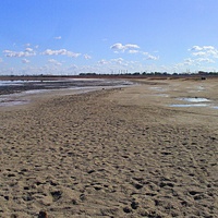 Южная часть акватории и прибрежной зоны озера Сасык-Сиваш.