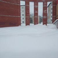 Эжва зима арка январь 2025 год