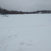 Эжва зима январь 2025 год