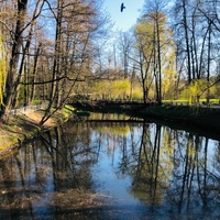 Парк кузьминки