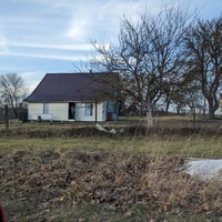 Писаревщина