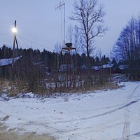 Дома по Лесной улице на восточной окраине. Вид с юго-запада.