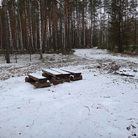 Уголок отдыха в виде лавочек и стола из чурок и плах возле посёлка Тасинский.