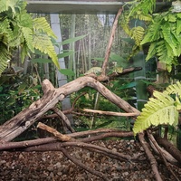 Обитатели экзотариума