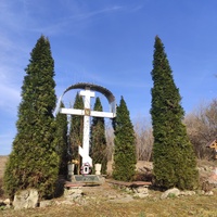 Старые Куконешты.