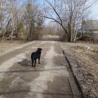 Улица в центральной части деревни.