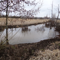 Дренажная канава севернее деревни.