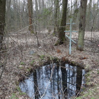 Родник Флора и Лавра ~ в 350м северо-западнее деревни.