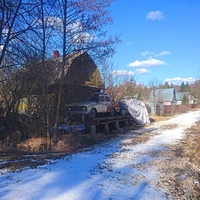 На территории поляны "Центральная".