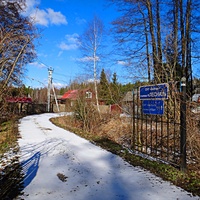 Входные (въездные) ворота в поляну "Лесная".