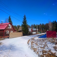 На территории поляны "Лесная".