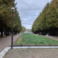 Сквер около памятника Ленину