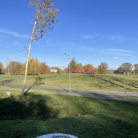 В парке