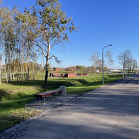В парке