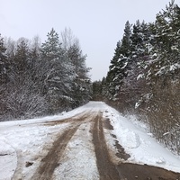 Дорога в деревню