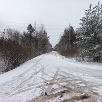 Дорога в деревню