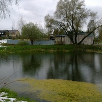 Пруд в Стрелино