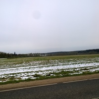 Поле близ Стрелино