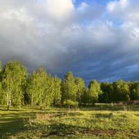 Дорога из шира в туим