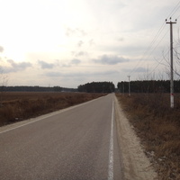 Дорога к посёлку