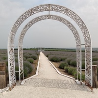 Петруня.Лавандовое поле.