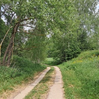Чагинская улица