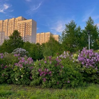 Москва - Марьино - Дюссельдорфский парк