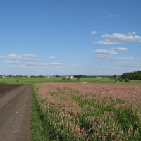 Дорога с пос. Покровский на пос. Вознесенский