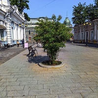 Пешеходная улица в центре города