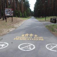 В Пикник-парке.