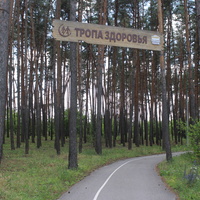 В Пикник-парке.