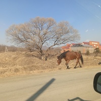 Многоудобное